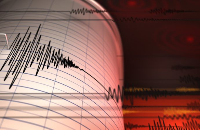 10:00 Cutremur cu magnitudine 4 în zona Vrancea