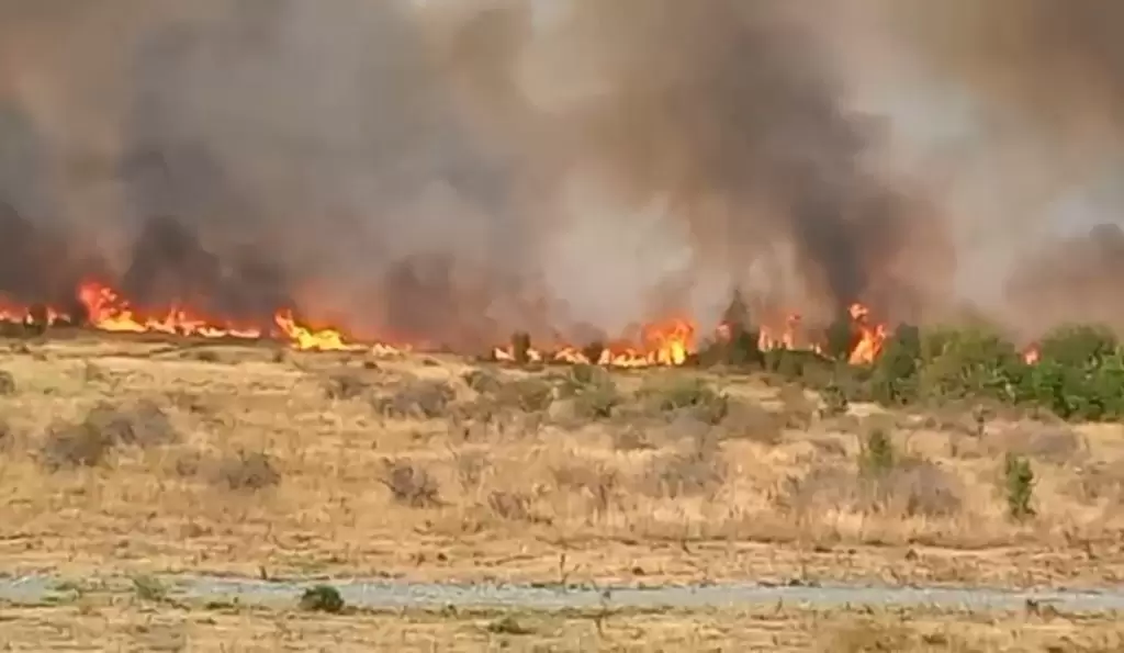 Incendiu de proporții în Preajba