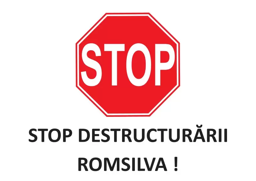 Pădurarii anunță noi proteste. ”Pădurile statului sunt în pericol!”